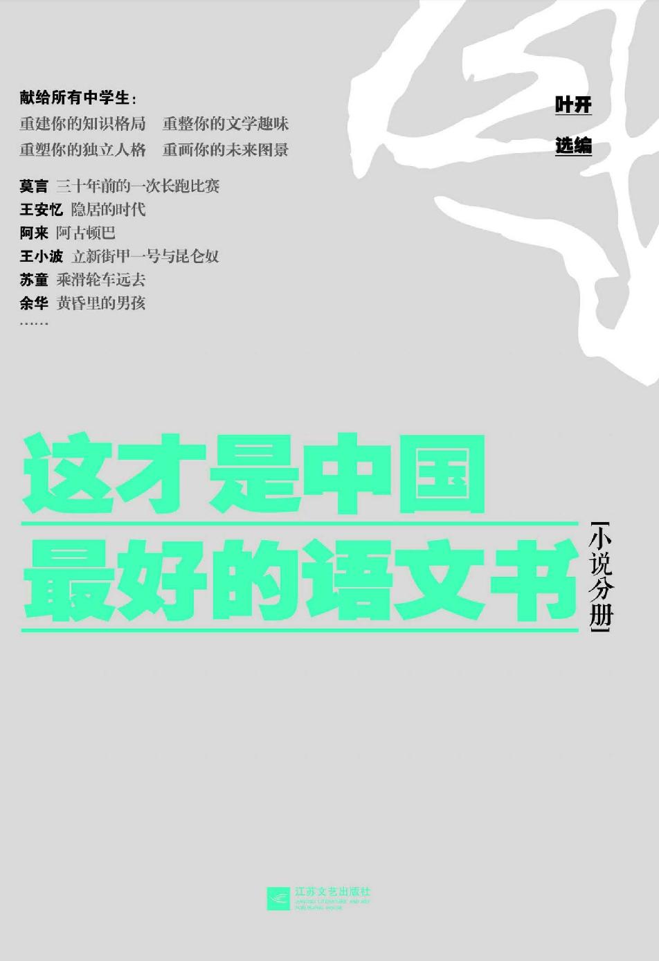 这才是中国最好的语文书( 小说分册 )