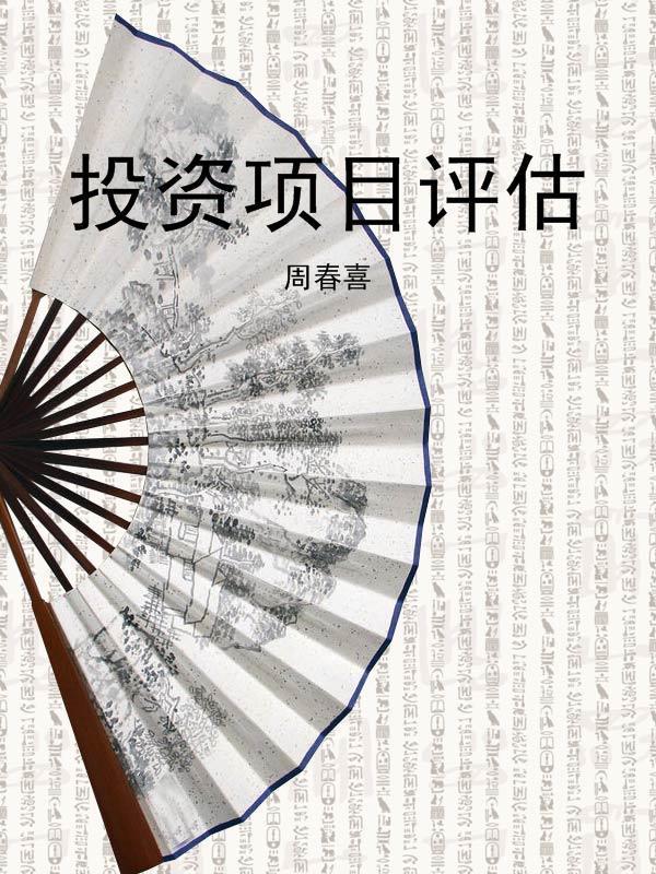 投资项目评估