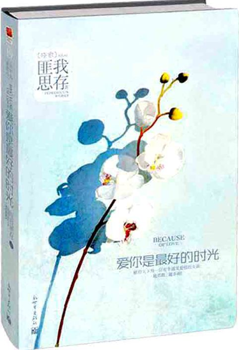 爱你是最好的时光