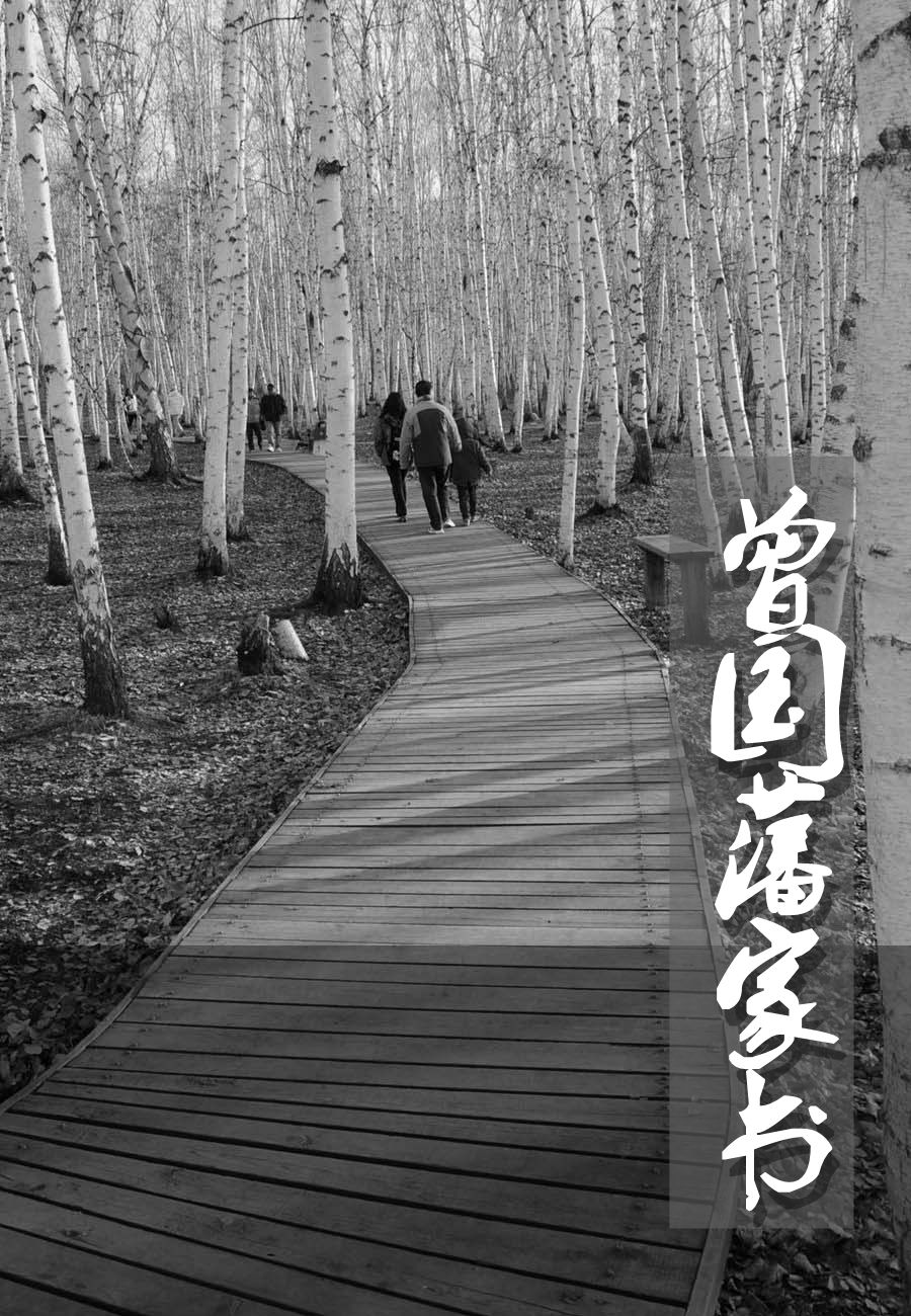 曾国藩家书(套装上下)