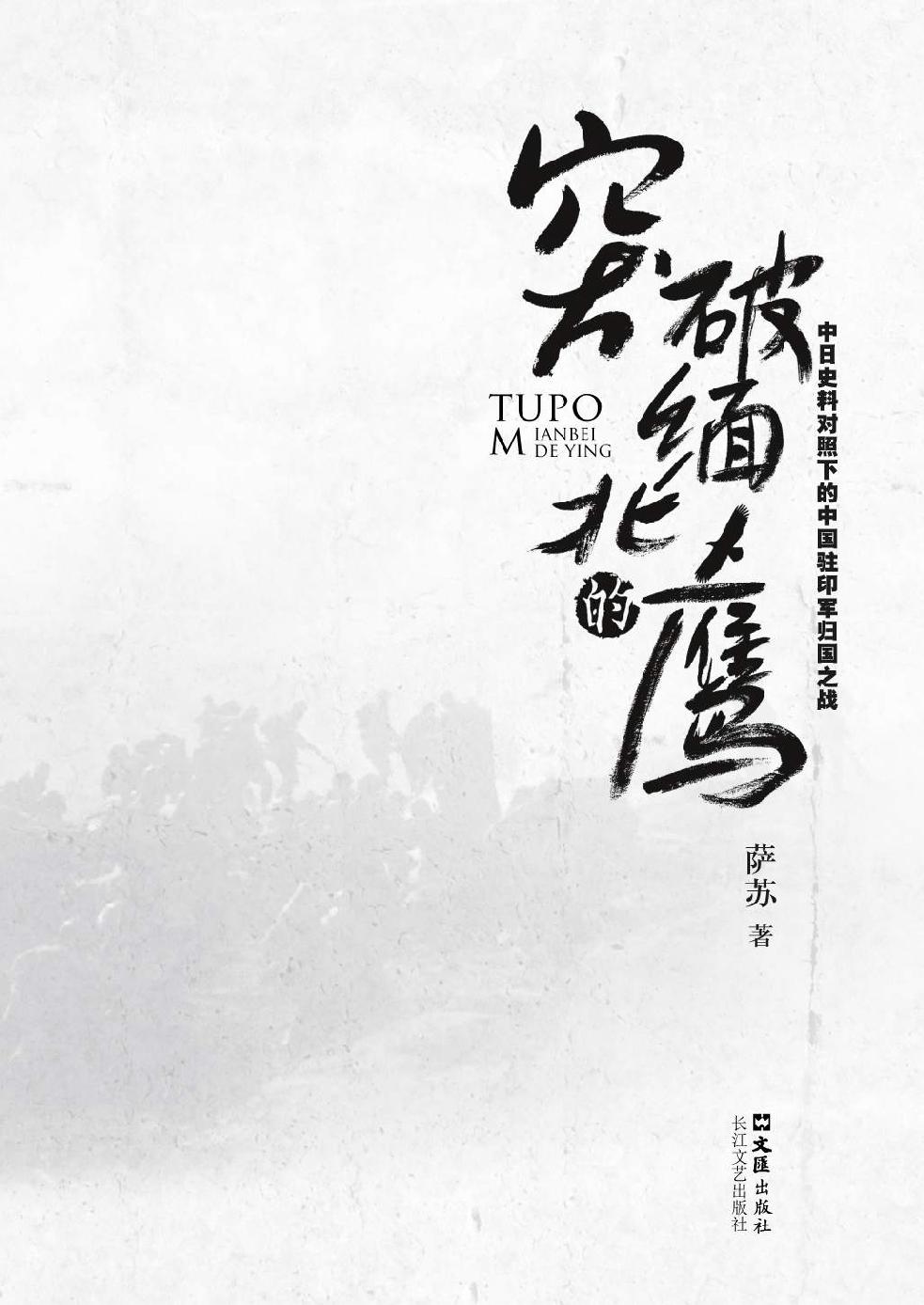 突破缅北的鹰