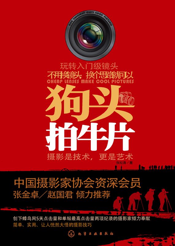 狗头拍牛片2：给摄影者的8堂美术入门课
