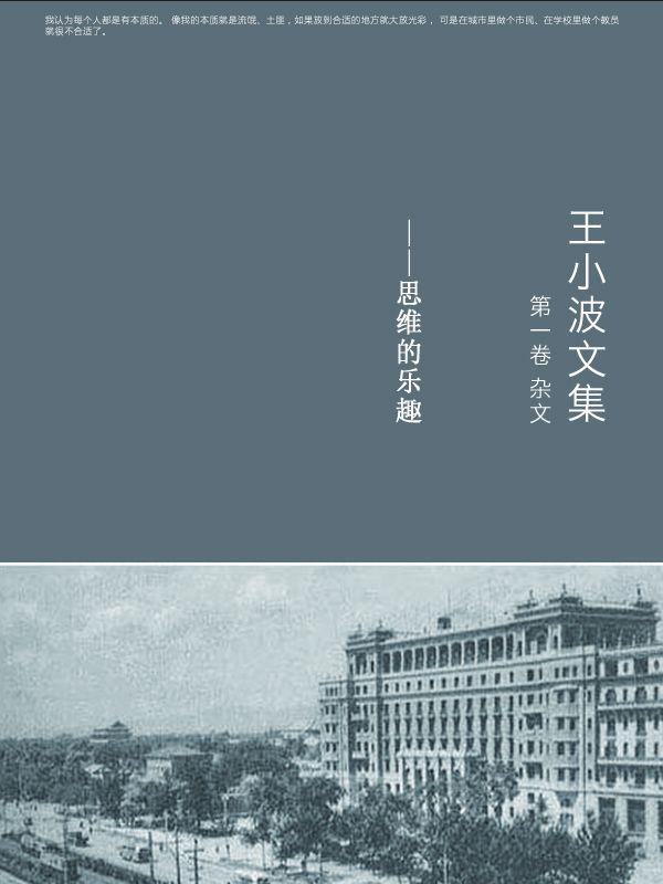王小波全集（第一卷 杂文）