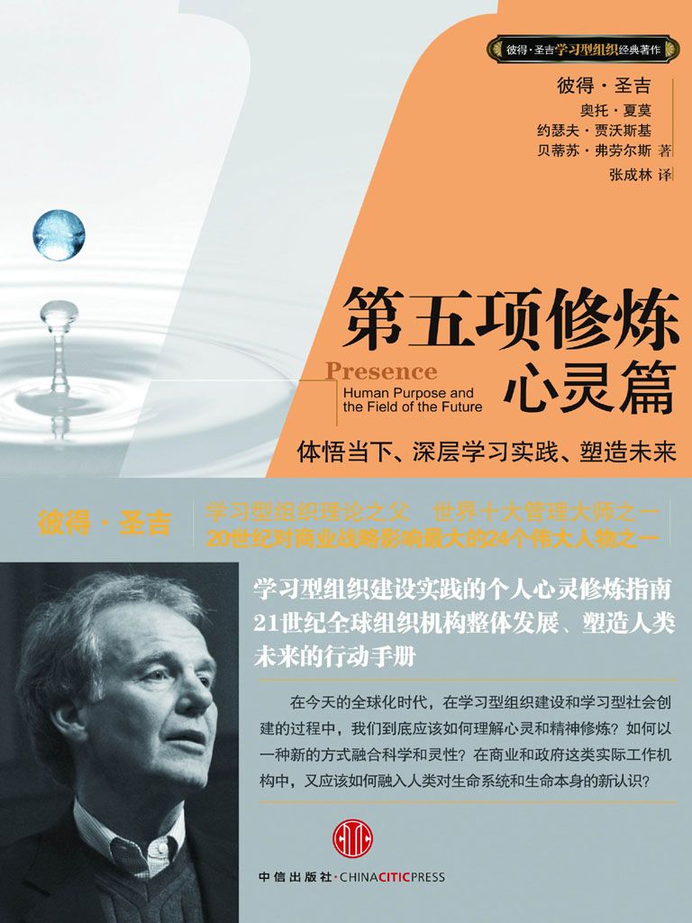 第五项修炼•心灵篇 (彼得·圣吉学习型组织经典著作系列)