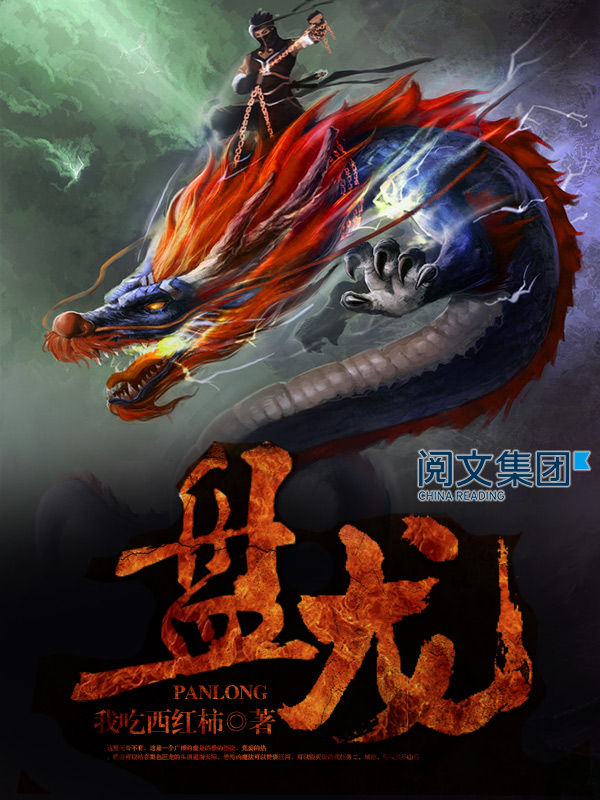 盘龙第2卷