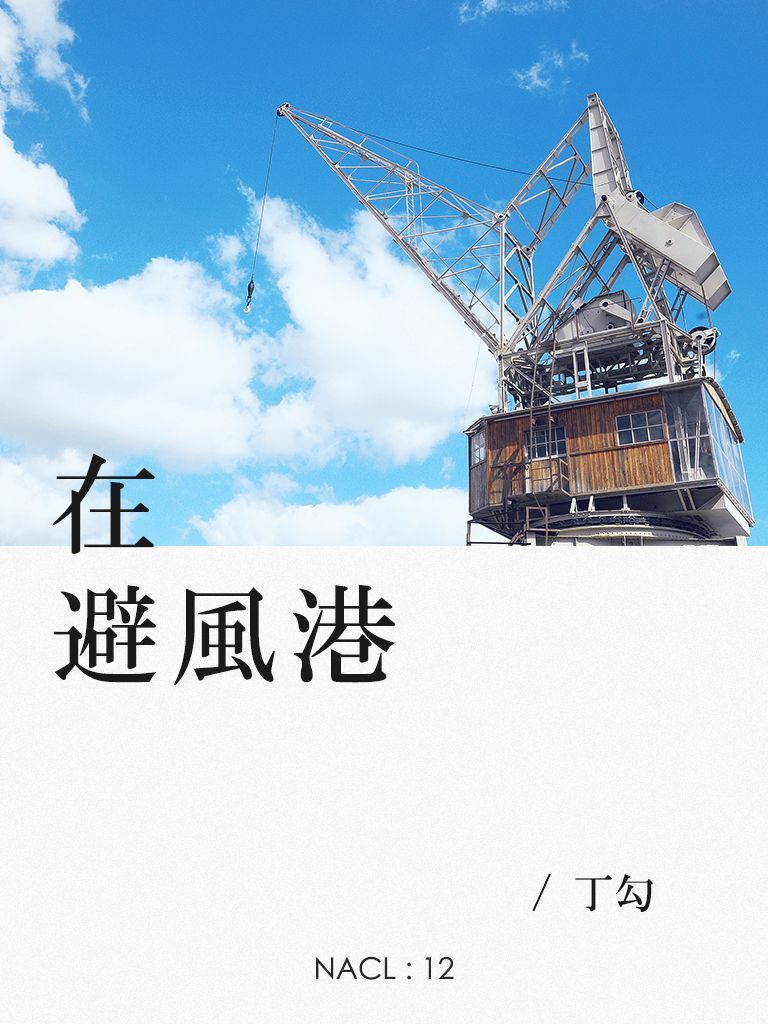 在避风港：知乎丁勾自选集