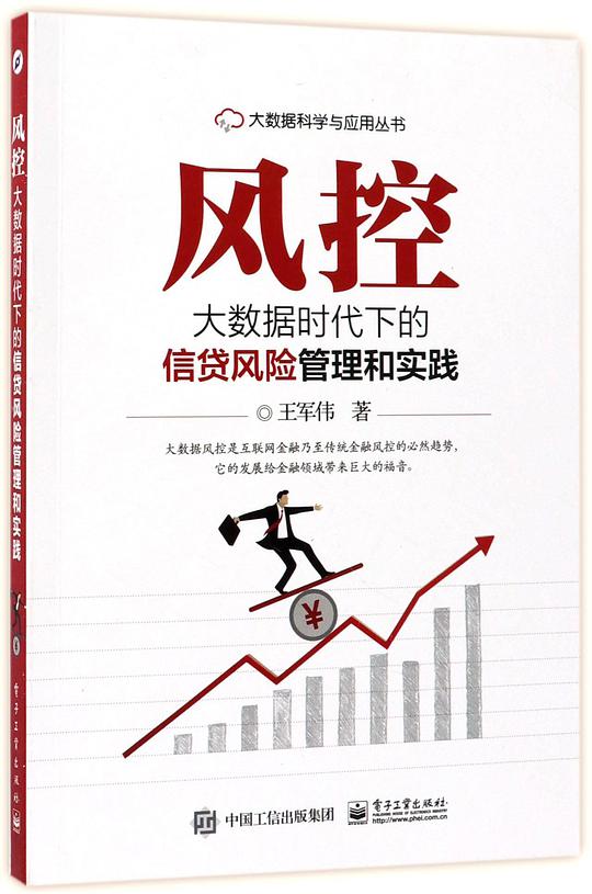 风控：大数据时代下的信贷风险管理和实践