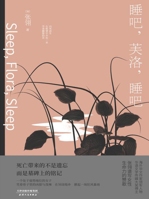 睡吧，芙洛，睡吧（一个处于弱势地位的女子，凭着骨子里的凶狠与泼辣，在异国他乡，掀起一场狂风暴雨！）