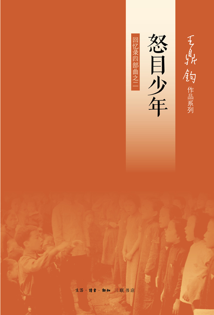 怒目少年：回忆录四部曲之二