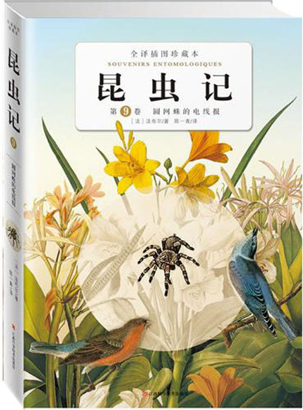 昆虫记卷9