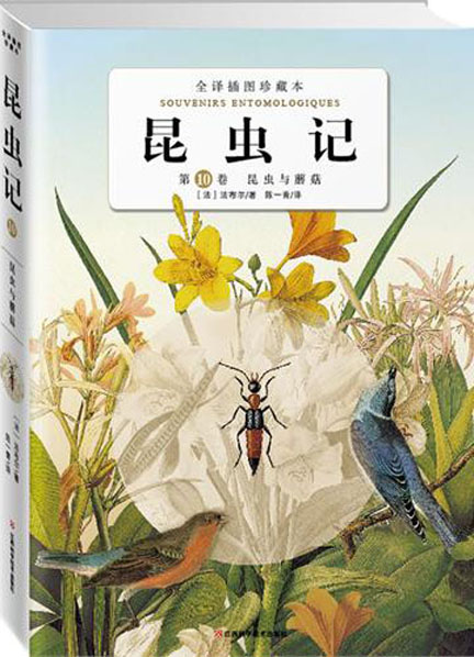 昆虫记卷10