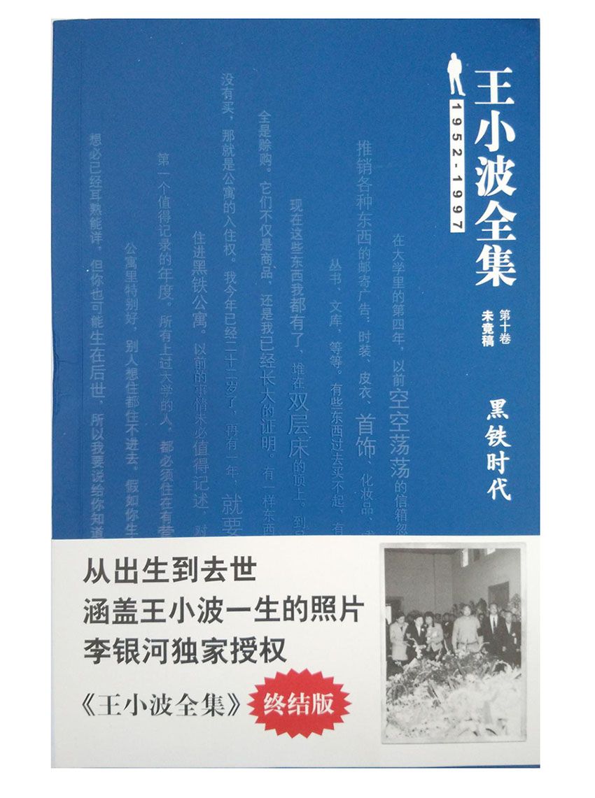 王小波全集(未竟稿)（第十卷）：黑铁时代(终结版) (王小波作品系列)