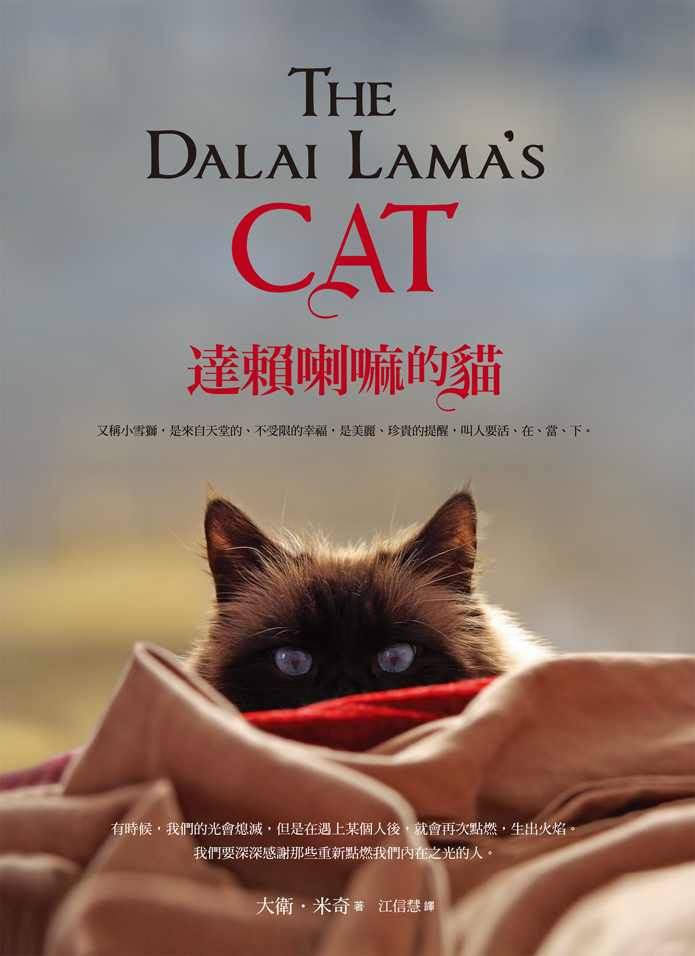 达赖喇嘛的猫