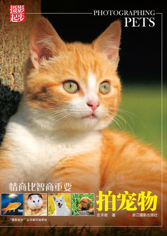 情商比智商重要：拍宠物