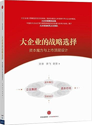 大企业的战略选择：资本魔方与上市顶层设计