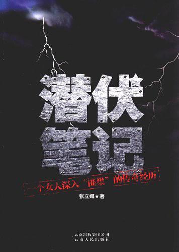 潜伏笔记