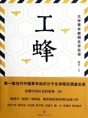 工蜂：大学青年教师生存实录