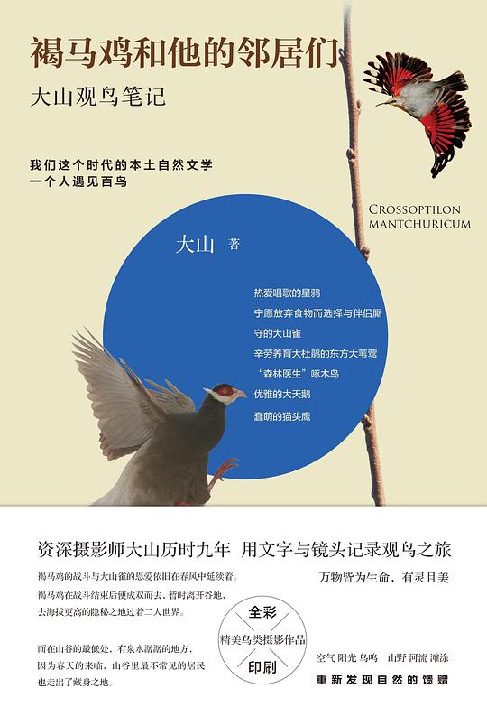 褐马鸡他的邻居们：大山观鸟笔记