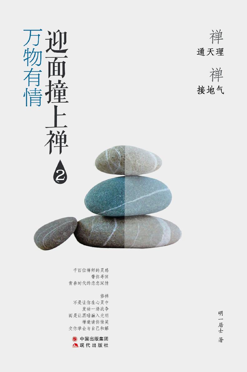 迎面撞上禅2