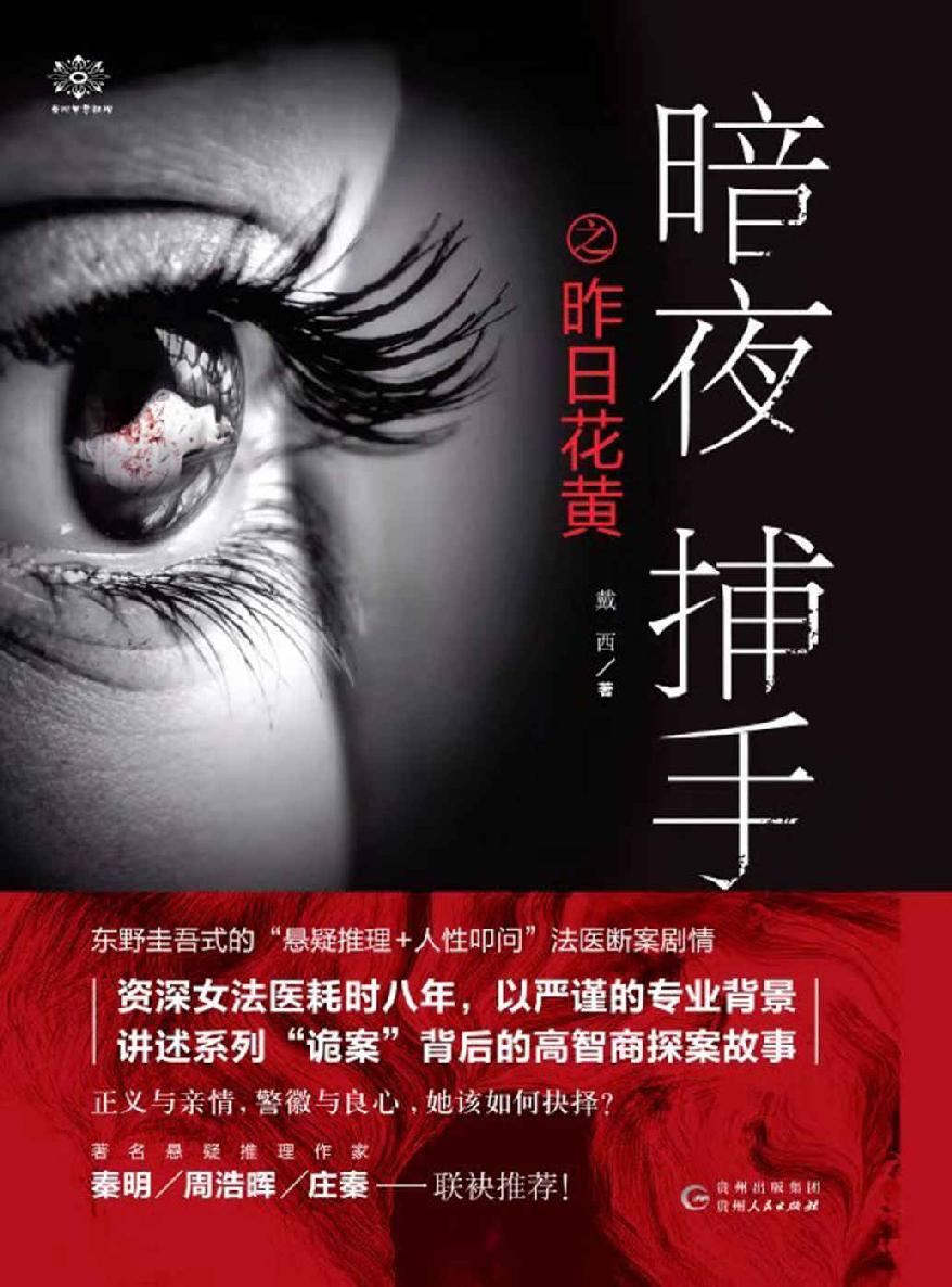 暗夜捕手
