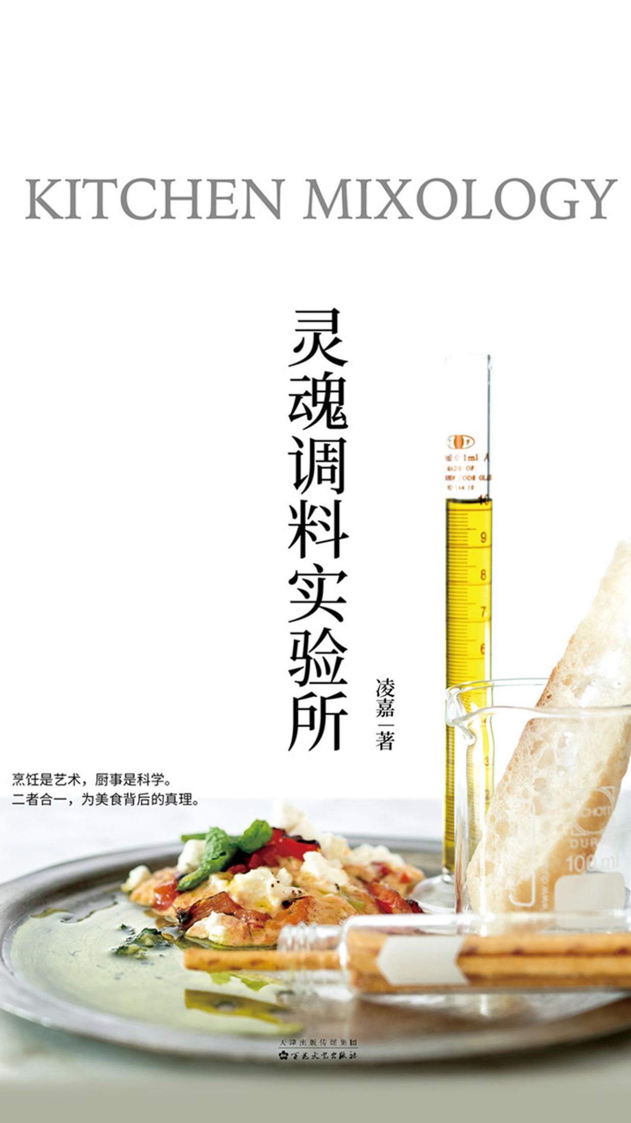 灵魂调料实验所