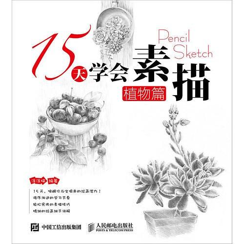 15天学会素描——植物篇