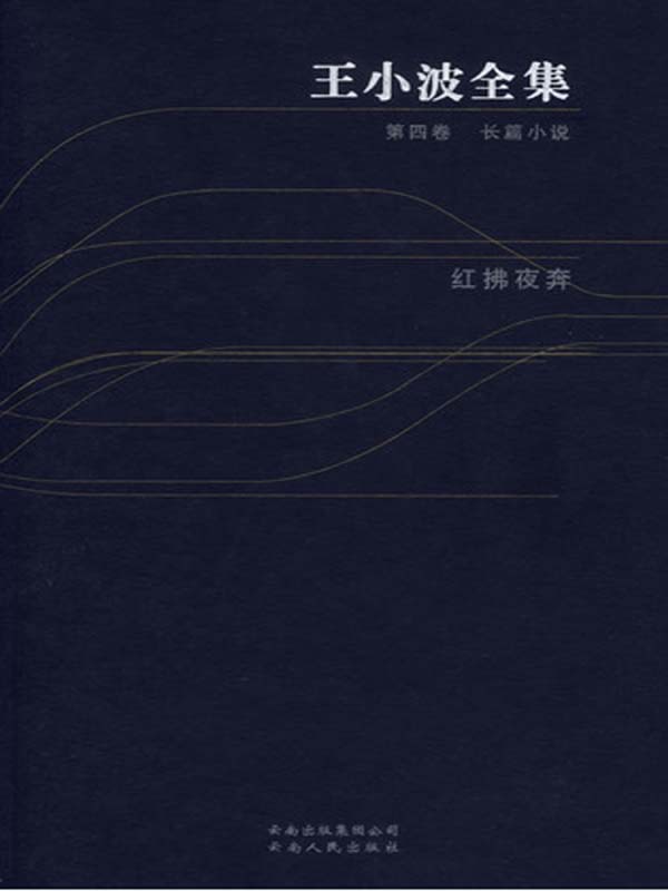 王小波全集.第四卷