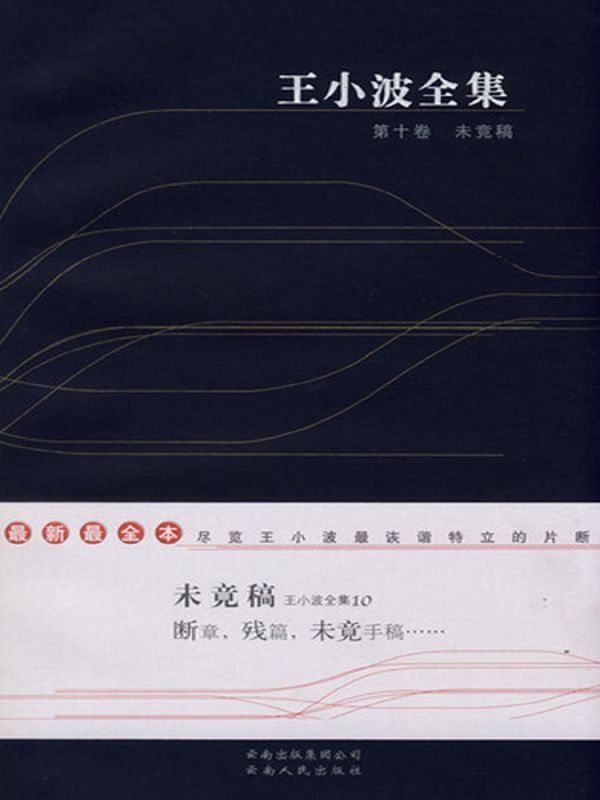 王小波全集.第十卷.未竟稿