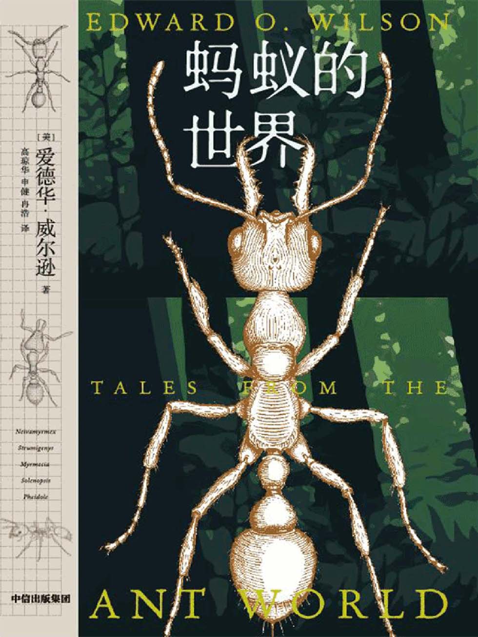 蚂蚁的世界