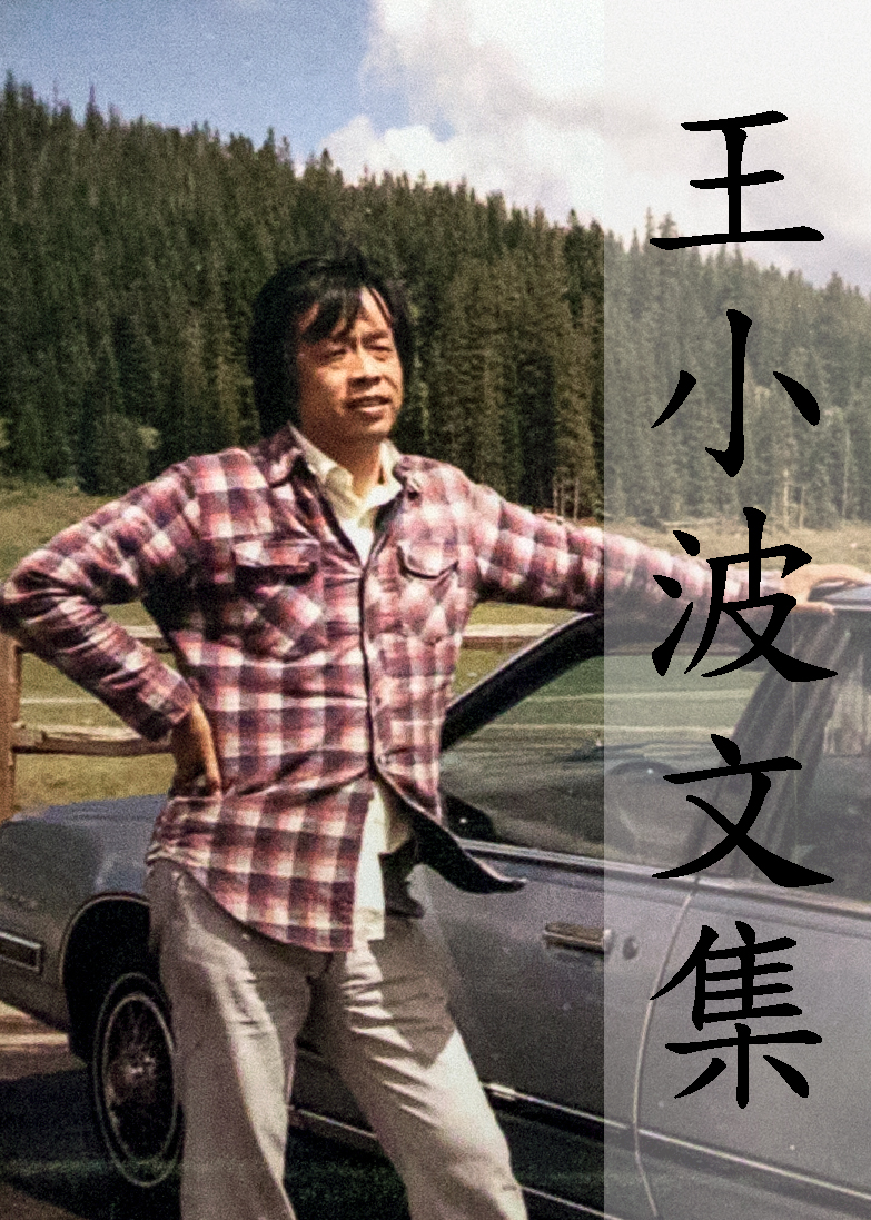 王小波全集.全十卷