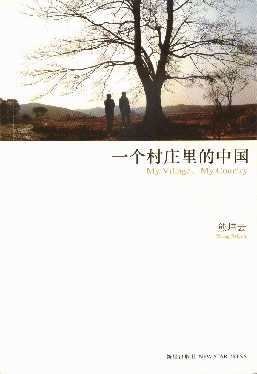 一个村庄里的中国（插图本）