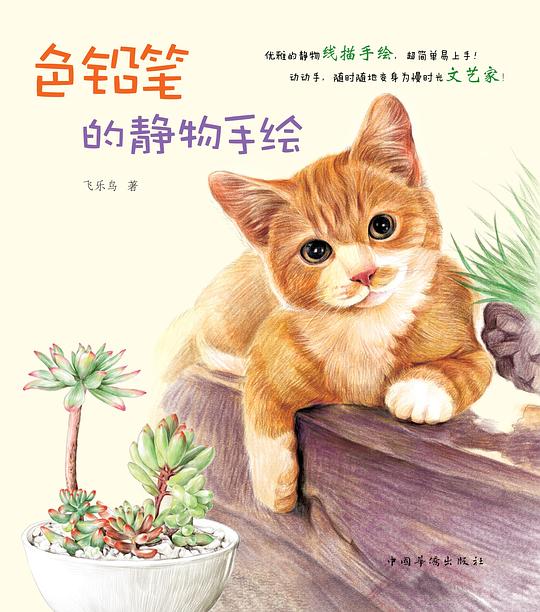 色铅笔的静物手绘