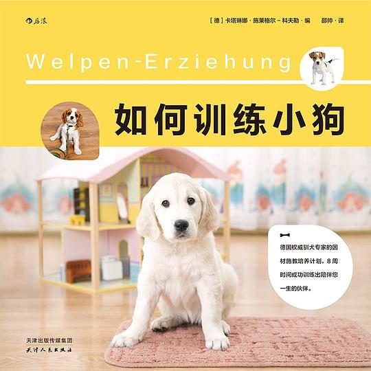 如何训练小狗