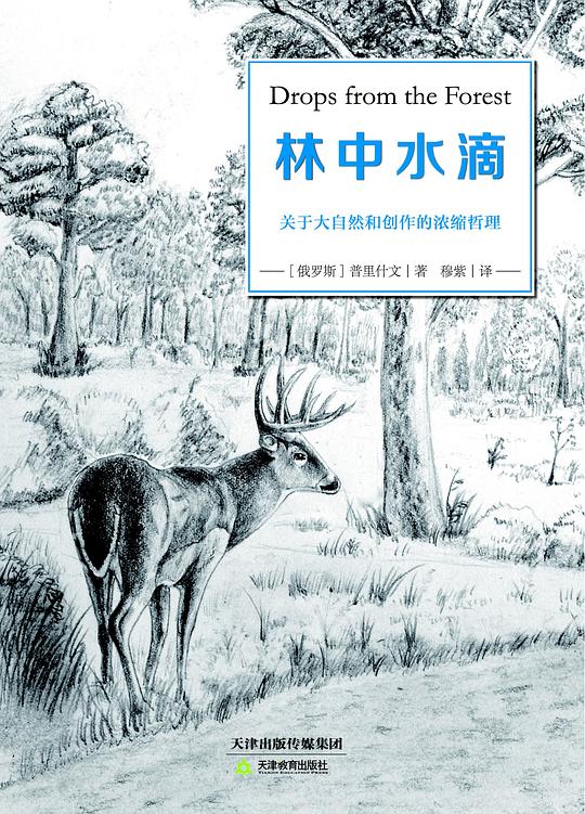 林中水滴