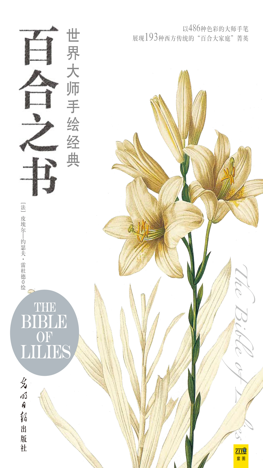 世界大师手绘经典百合之书