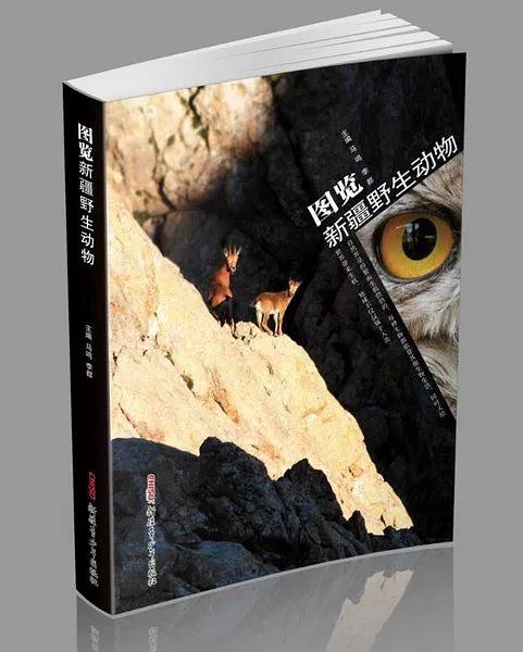 图览新疆野生动物