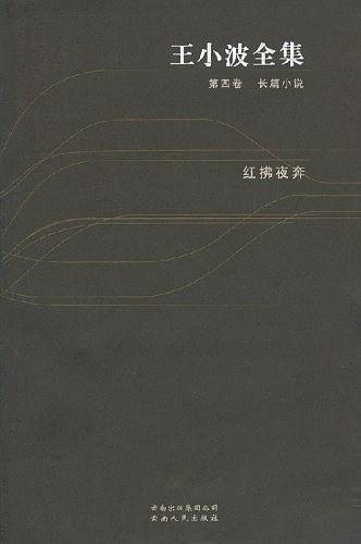 王小波全集·第四卷：长篇小说