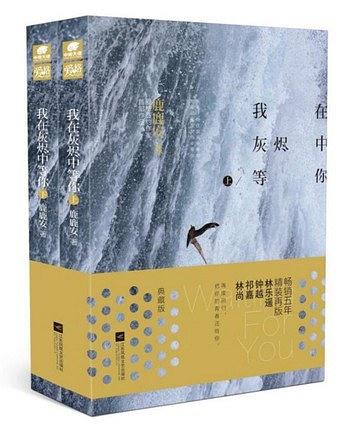 我在灰烬中等你（全2册）