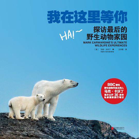 我在这里等你：探访最后的野生动物家园