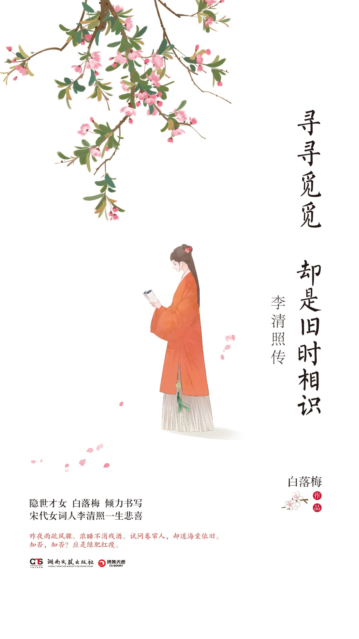 寻寻觅觅 却是旧时相识：李清照传