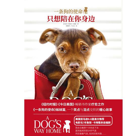 一条狗的使命：只想陪在你身边