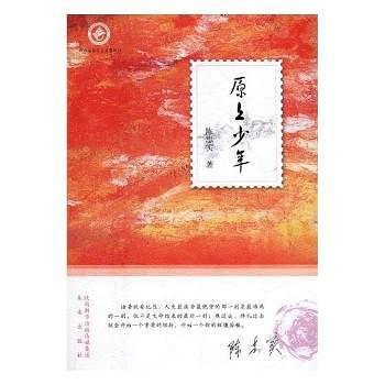 原上少年