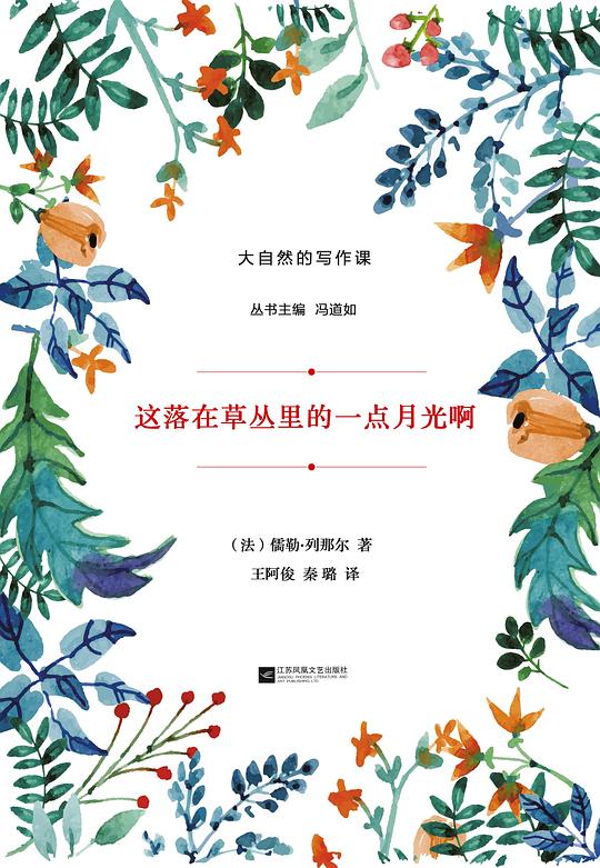 这落在草丛里的一点月光啊