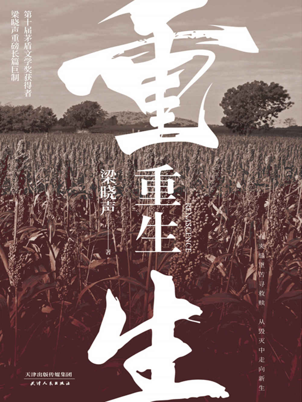重生（第十届茅盾文学奖获得者梁晓声重磅长篇巨制！ 写尽一个“懦者”的隐忍与大义！） (觉醒：梁晓声作品选 2)