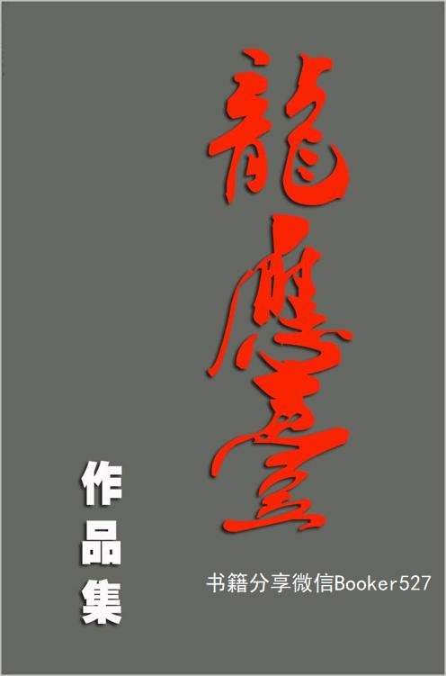 龙应台作品集