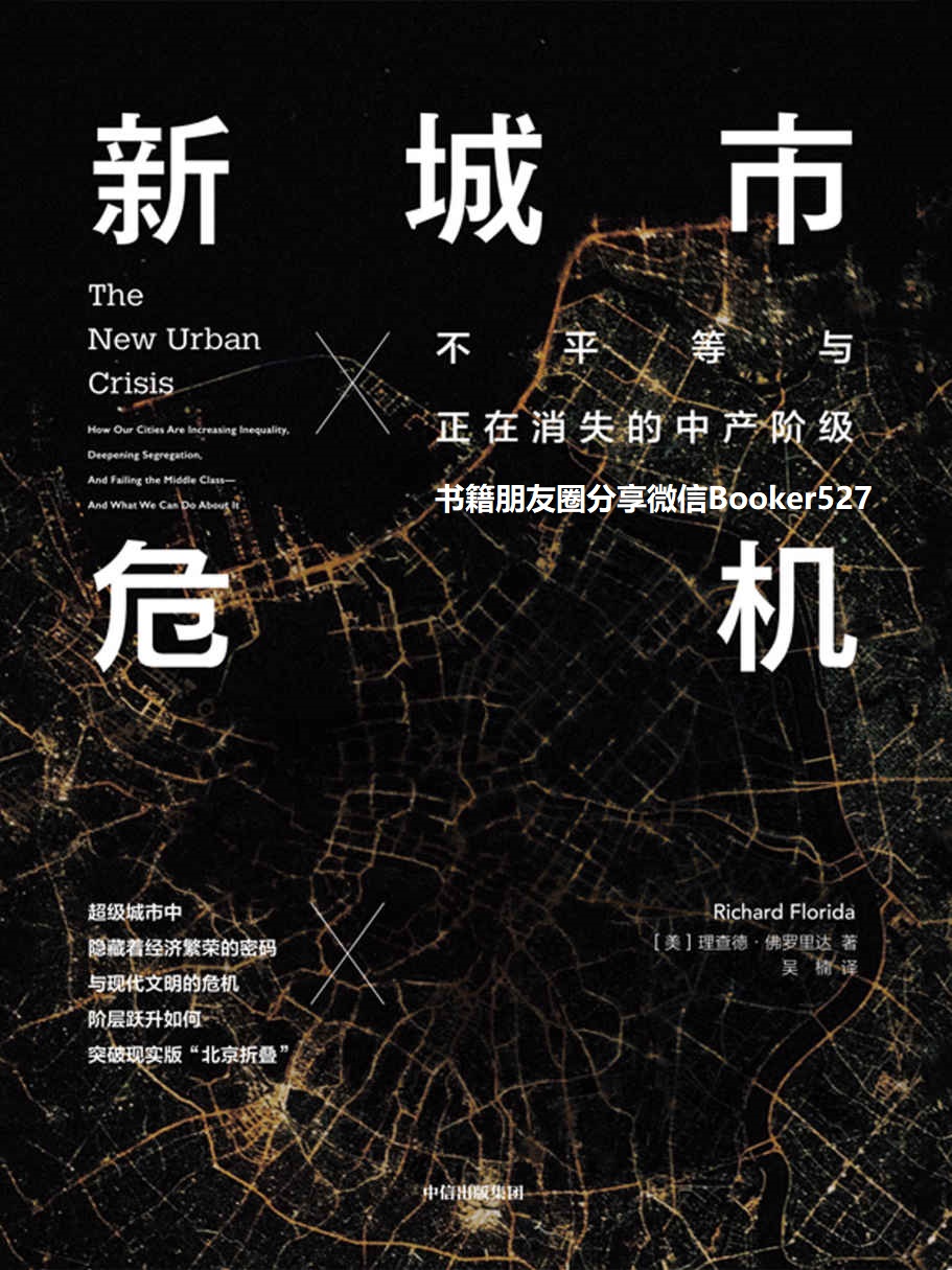 新城市危机：不平等与正在消失的中产阶级（如何才能直面不平等.实现城市的持续繁荣）