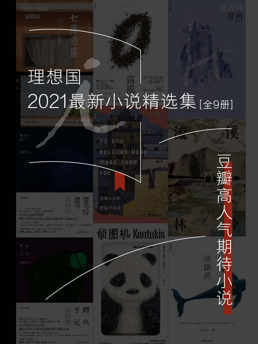 理想国2021最新小说精选集（全9册）（豆瓣高人气最新小说 理想国出品）