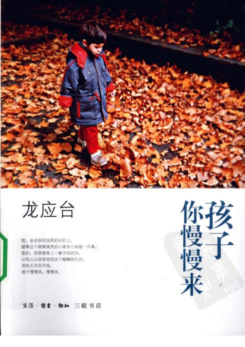 龙应台--孩子你慢慢来