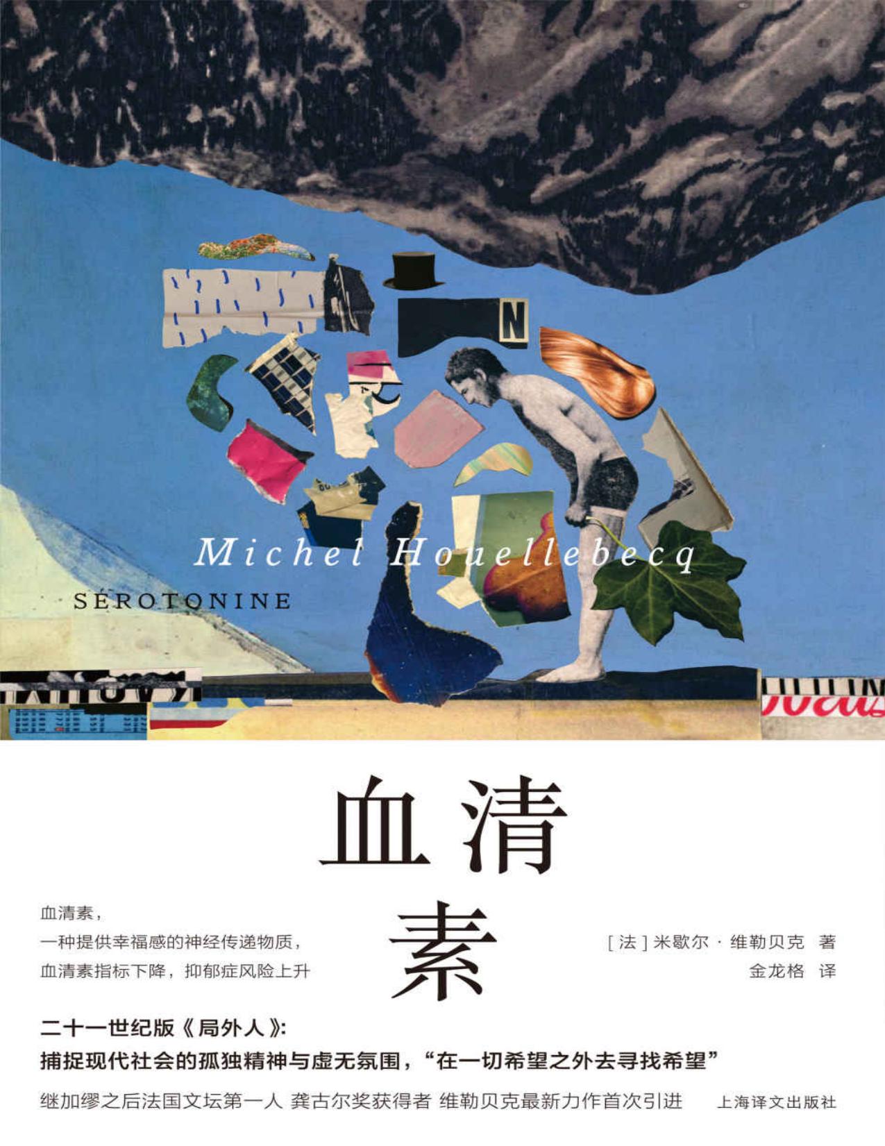 血清素【上海译文出品！继加缪之后法国文坛第一人、龚古尔奖获得者维勒贝克力作首次引进！二十一世纪版《局外人》！一部关于都市病抑郁症的小说】 (维勒贝克作品系列)