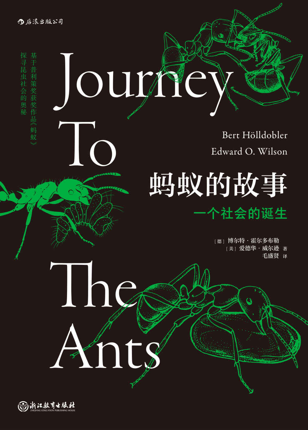 蚂蚁的故事：一个社会的诞生（以普利策奖获奖书目《蚂蚁》为创作蓝本，全方位讲述蚂蚁的进化历程，令人大开眼界，后浪出品）